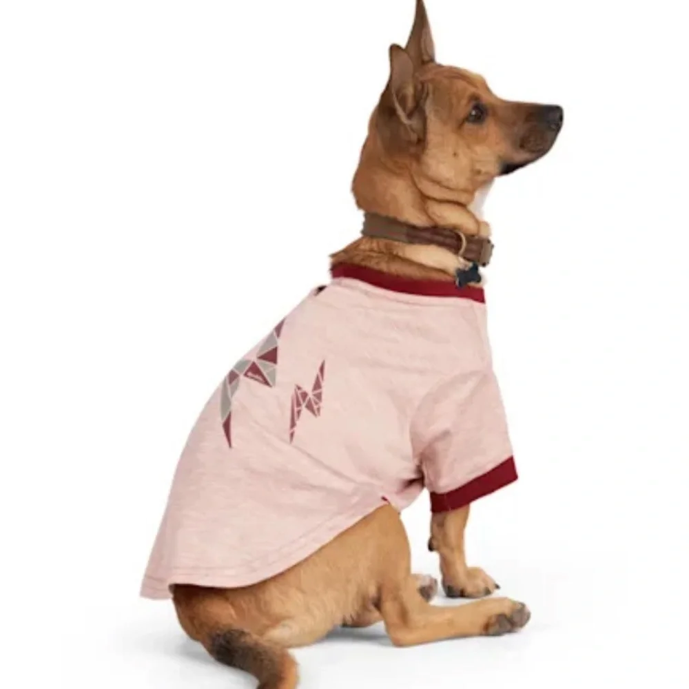 Bundle new Reddy Hoodie & Lightening dog Tee S